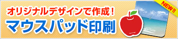 �ޥ����ѥåɰ������о�
