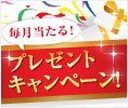 �ץ쥼��ȥ����ڡ���Ƴ���