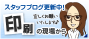 �������֥֥����ְ����θ��줫���