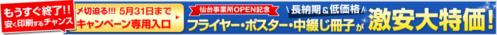 A4�ե饤�䡼��980�ߡ�������Ƚ�OPEN��ǰ�����ڡ���