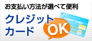 ����ʧ����ˡ�����٤����������쥸�åȥ����ɷ��OK