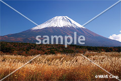 [10月] 富士山とススキ