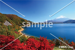 [11月A] 秋の富士山と本栖湖