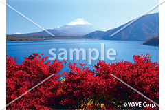 [11月B] 本栖湖から富士山