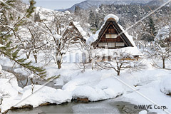 [1月] 雪の合掌造り