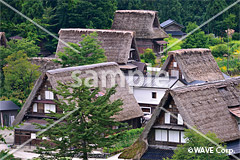 [4月] 五箇山　相倉
