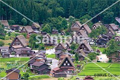 城址展望台より。