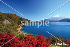 [11月A] 秋の富士山と本栖湖