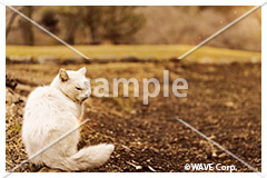 [11月] ミックス