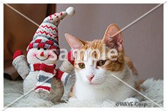 [12月] ミックス