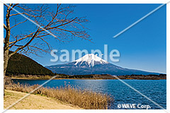 [3月] 富士山と田貫湖