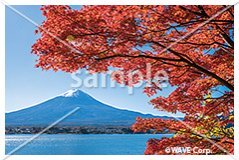 [10月] 秋の富士山