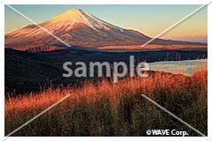 [11月] 山中湖・鉄砲木ノ頭から朝の富士山