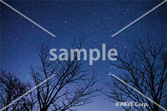 [12月] 冬空の星