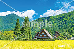 [9月] 秋めく白川郷