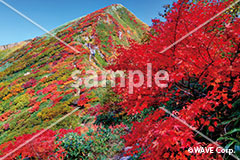 [11月] 秋の山色