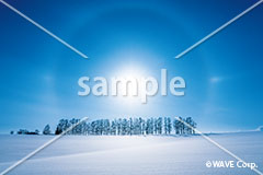 [12月] 美しい銀世界