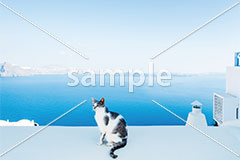 [7月] 海と白い街の白黒