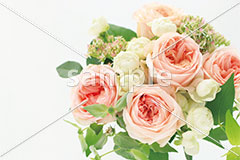 [2月] ピンクと白のローズ