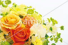 [3月] オレンジと黄色のローズ