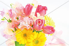 [5月] チューリップとスイートピー