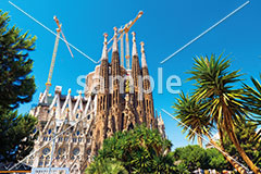 [6月] スペインサグラダ・ファミリア