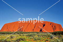 [8月] オーストラリアエアーズロック