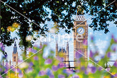 [6月] イギリス 初夏のビッグベン