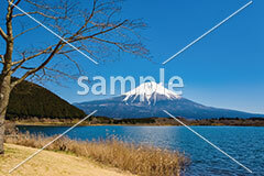 [3月] 富士山と田貫湖