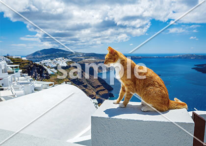 [7月/8月] 潮風に吹かれて