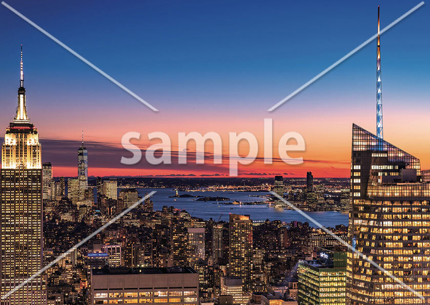 [1月] アメリカ　ニューヨーク