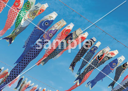 [5月] 端午の節句