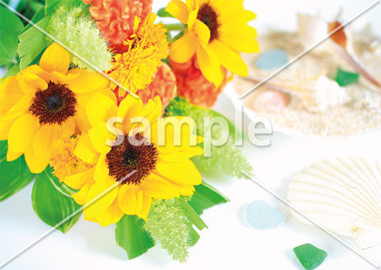 [8月] サマーアレンジメント