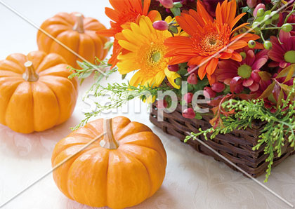 [10月] ハロウィンバスケット