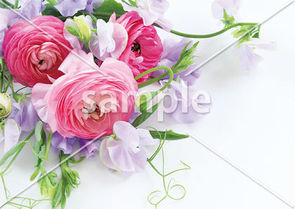 [7月] ラナンキュラスとスイートピー