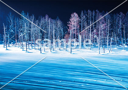 [1月/2月] 美瑛の青い池