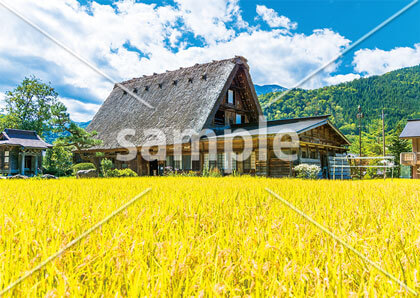 [9月/10月] 白川郷の秋