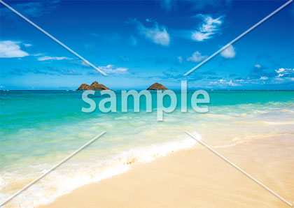 [7月/8月] ハワイ　ラニカイビーチ