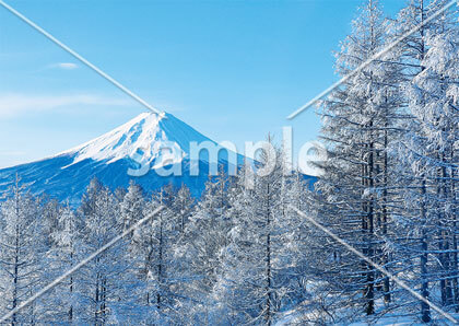 [2月] 冬の富士山
