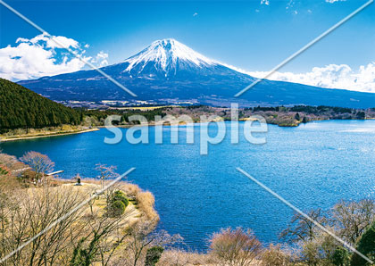 [3月] 富士山と田貫湖
