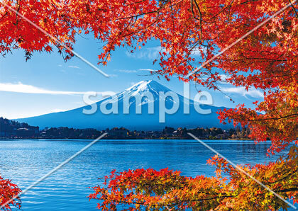 [11月] 富士山と紅葉