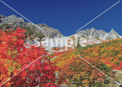 [10月] 日本　長野県　涸沢カール