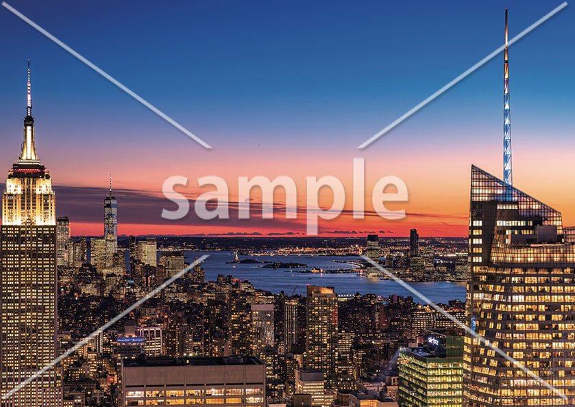 [1月] アメリカ　ニューヨーク