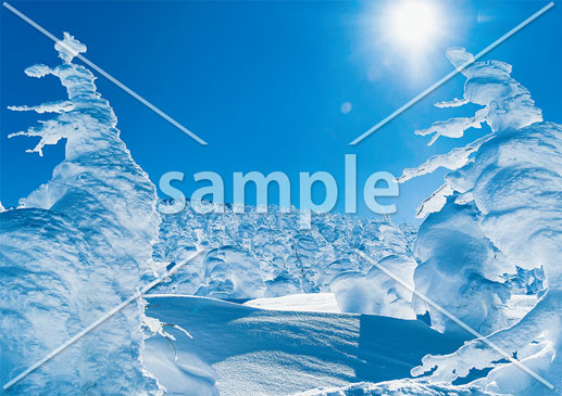 [12月] 蔵王の樹氷