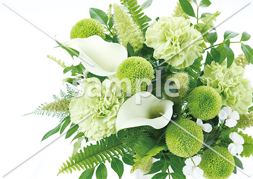 [1月] ライトグリーンアレンジメント