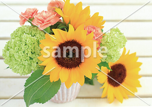 [8月] サマーアレンジメント