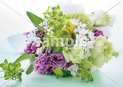 [10月] ブプレウルムとトルコキキョウ