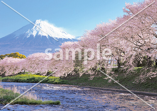 [3月] 潤井川から望む富士山