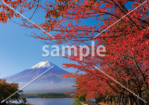 [10月] 富士山と紅葉