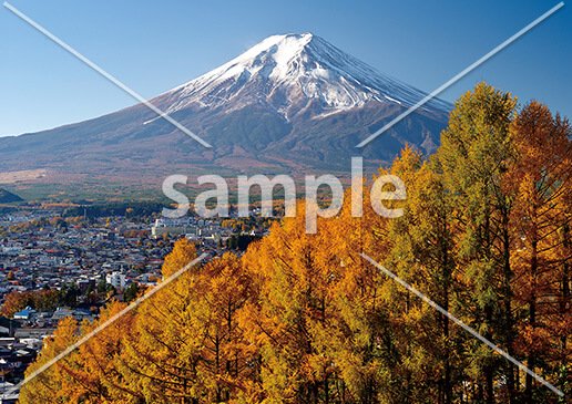 [11月] 富士の晩秋